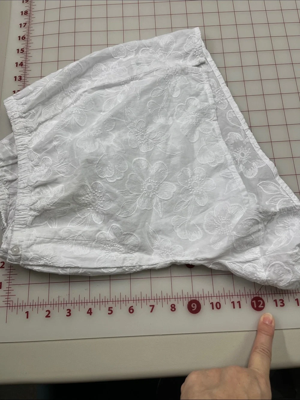 AERIE NWT 